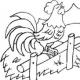 DIY paper rooster for children. Rooster stencil for drawing on the window.