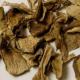 Dry mushrooms: how to dry, whether to wash before drying and how to cook