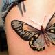 Mit jelent a pillangó tetoválás: jelentés és érdekes információk