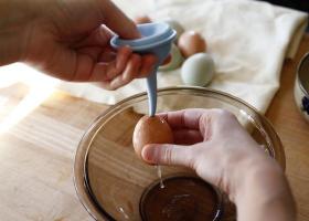 Kerajinan dari telur: bagaimana cara membuatnya?